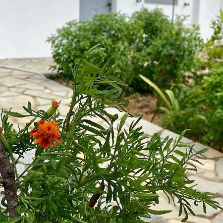 Tasos Casa de hóspedes 4*