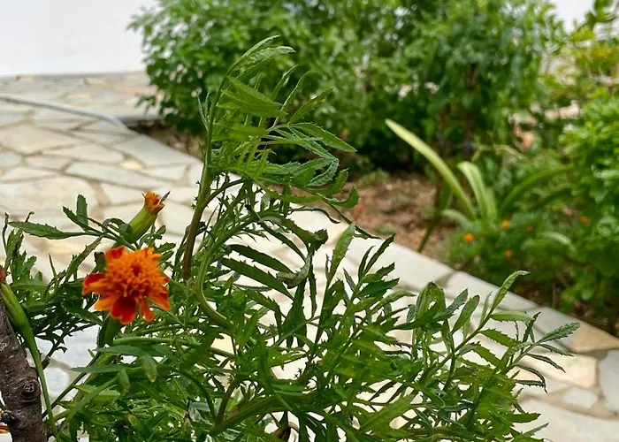 Tasos Affittacamere 3*